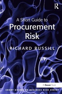 bokomslag A Short Guide to Procurement Risk