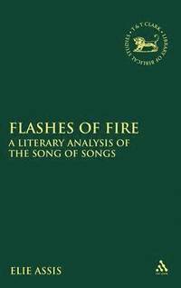 bokomslag Flashes of Fire