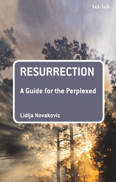 Lidija Novakovic - Resurrection: A Guide for the Perplexed, Häftad