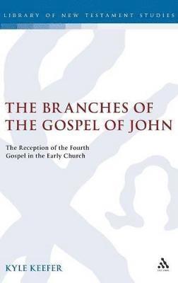 bokomslag Branches of the Gospel of John
