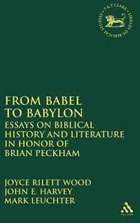bokomslag From Babel to Babylon