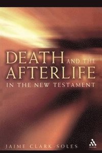 bokomslag Death and the Afterlife in the New Testament