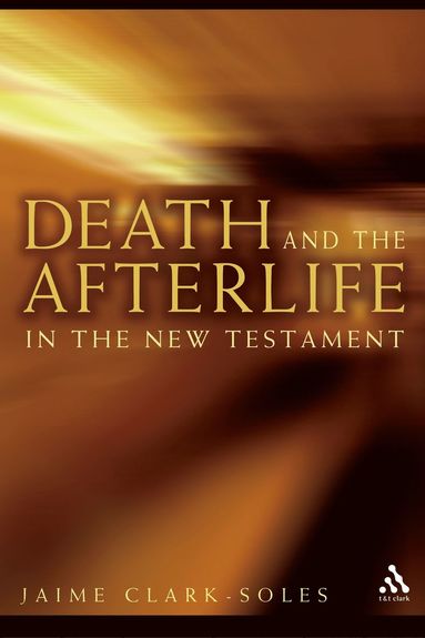 bokomslag Death and the Afterlife in the New Testament