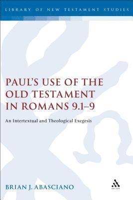 bokomslag Paul's Use of the Old Testament in Romans 9.1-9