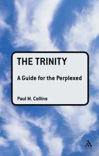 bokomslag The Trinity: A Guide for the Perplexed