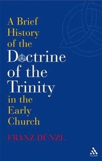 bokomslag A Brief History of the Doctrine of the Trinity in the Early Church