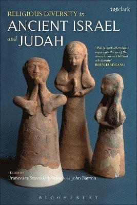 bokomslag Religious Diversity in Ancient Israel and Judah