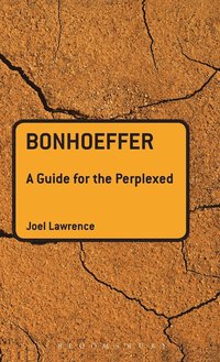 bokomslag Bonhoeffer: A Guide for the Perplexed