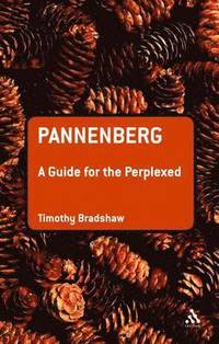 bokomslag Pannenberg: A Guide for the Perplexed