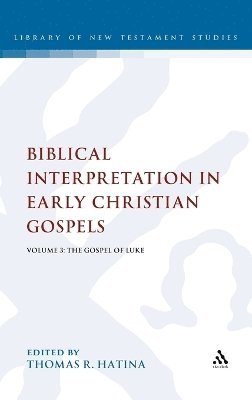 Thomas R. Hatina, Thomas Hatina - Biblical Interpretation in Early Christian Gospels, Inbunden