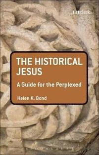 bokomslag The Historical Jesus: A Guide for the Perplexed