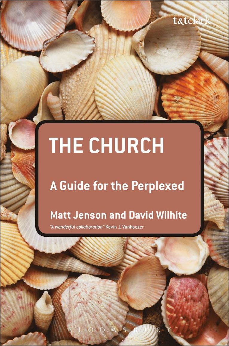 The Church: A Guide for the Perplexed 1