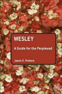bokomslag Wesley: A Guide for the Perplexed