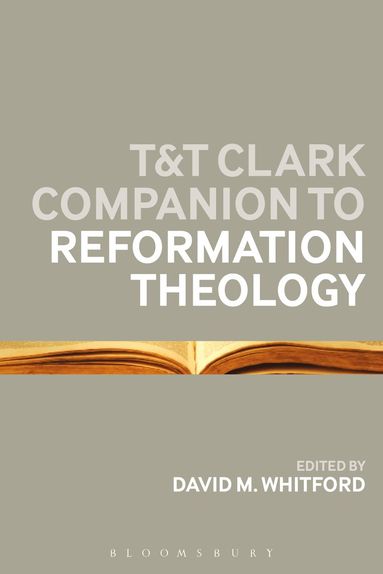 bokomslag T&T Clark Companion to Reformation Theology