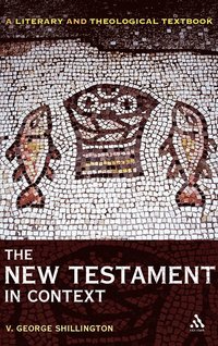 bokomslag The New Testament in Context