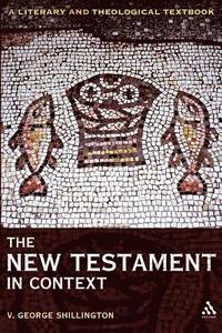 bokomslag The New Testament in Context