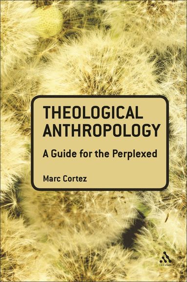 bokomslag Theological Anthropology: A Guide for the Perplexed