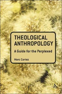Theological Anthropology: A Guide for the Perplexed