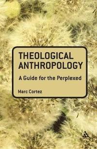 bokomslag Theological Anthropology: A Guide for the Perplexed