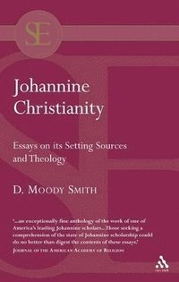 bokomslag Johannine Christianity