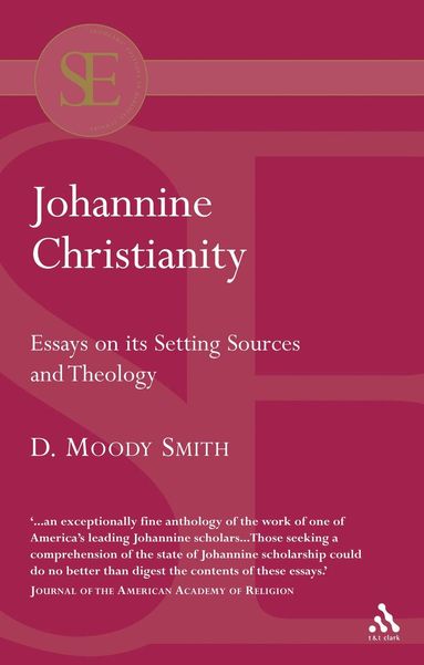 bokomslag Johannine Christianity