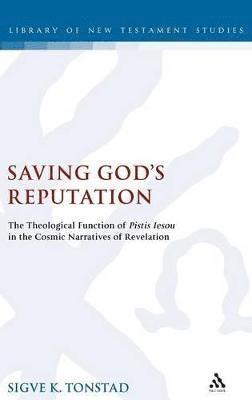 bokomslag Saving God's Reputation