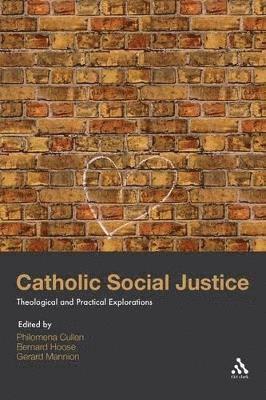 bokomslag Catholic Social Justice