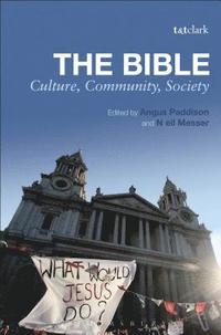 bokomslag The Bible: Culture, Community, Society