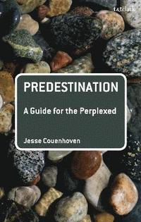bokomslag Predestination: A Guide for the Perplexed