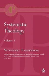 bokomslag Systematic Theology Vol 3