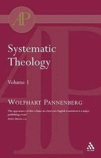 bokomslag Systematic Theology Vol 1