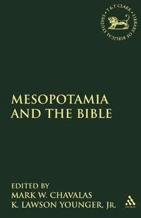 bokomslag Mesopotamia and the Bible