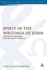 bokomslag Spirit in the Writings of John