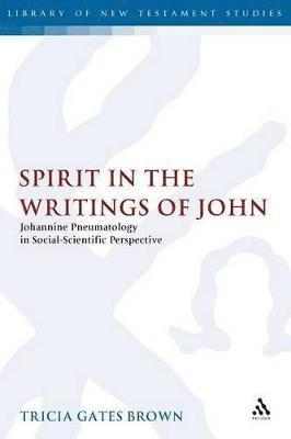 bokomslag Spirit in the Writings of John