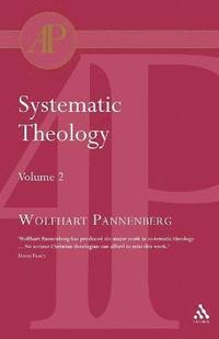 bokomslag Systematic Theology Vol 2