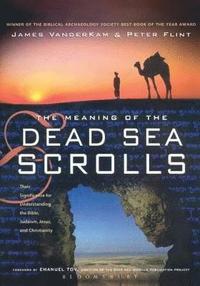 bokomslag The Meaning of the Dead Sea Scrolls