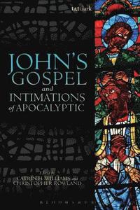 bokomslag John's Gospel and Intimations of Apocalyptic