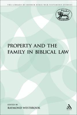 bokomslag Property and the Family in Biblical Law