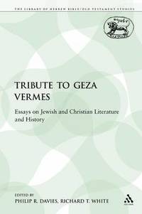 bokomslag A Tribute to Geza Vermes