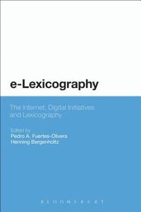 bokomslag e-Lexicography