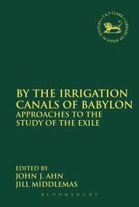 bokomslag By the Irrigation Canals of Babylon