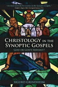 bokomslag Christology in the Synoptic Gospels