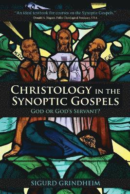 bokomslag Christology in the Synoptic Gospels