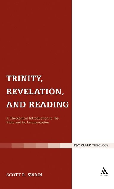 bokomslag Trinity, Revelation, and Reading