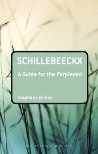 bokomslag Schillebeeckx: A Guide for the Perplexed