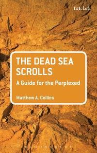 bokomslag T&T Clark Introduction to the Dead Sea Scrolls