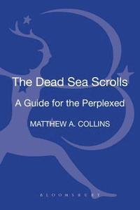 bokomslag T&T Clark Introduction to the Dead Sea Scrolls
