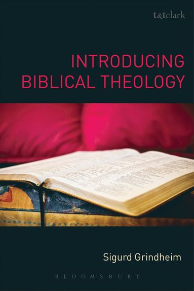 bokomslag Introducing Biblical Theology