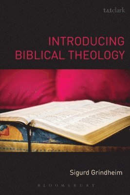 Sigurd Grindheim - Introducing Biblical Theology, Häftad