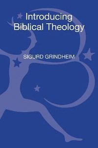 bokomslag Introducing Biblical Theology